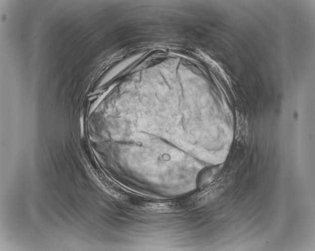 X0000085750061200704131722