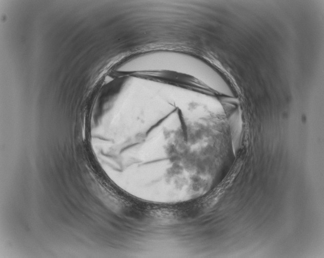 X0000085750062200704131722