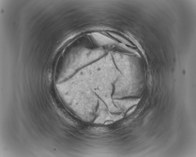 X0000085750063200704131722