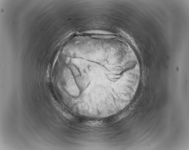 X0000085750065200704131722