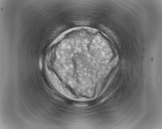 X0000085750069200704131722