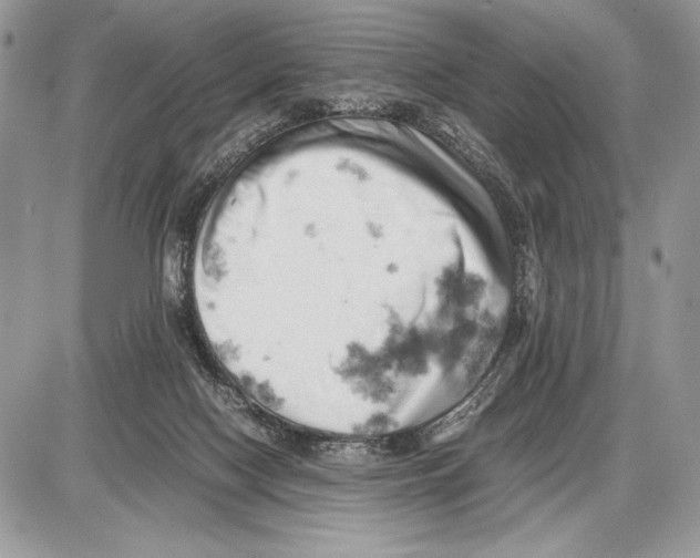 X0000085750074200704131723