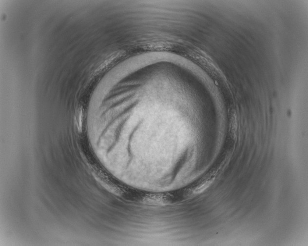 X0000085750076200704131723