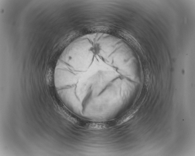 X0000085750077200704131723