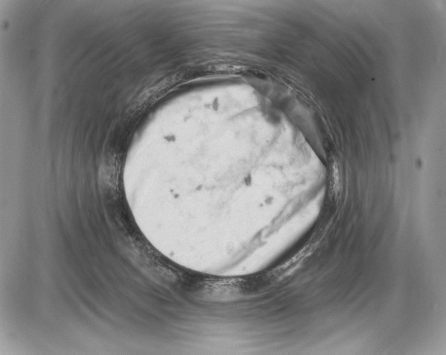 X0000085750078200704131723