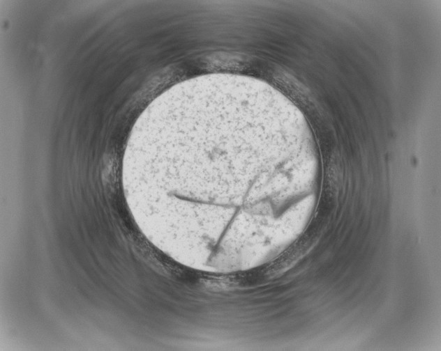 X0000085750079200704131723