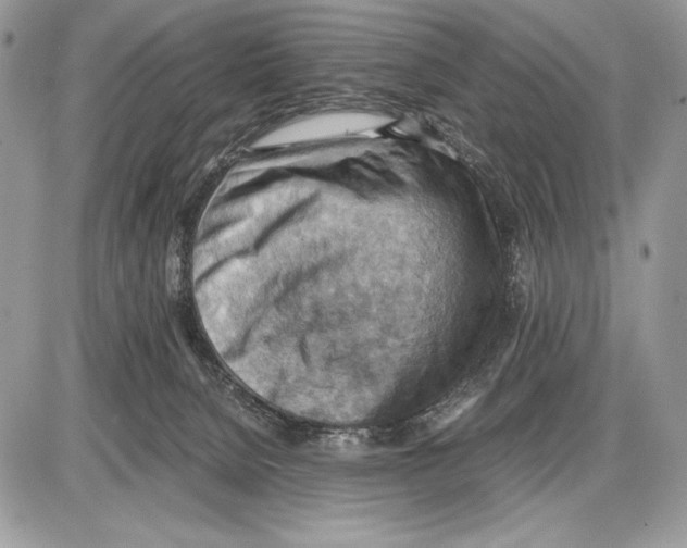 X0000085750080200704131723