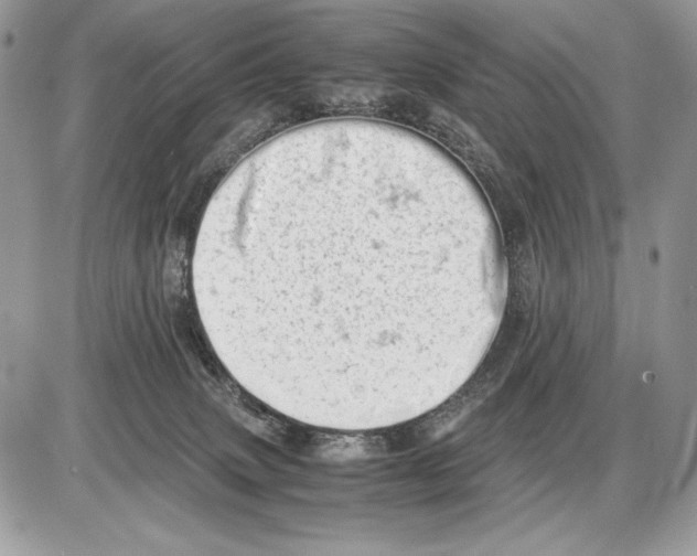 X0000085750083200704131723