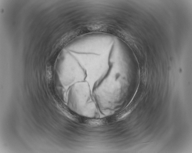 X0000085750085200704131723