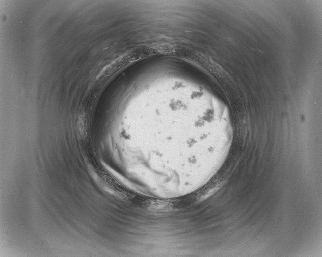 X0000085750088200704131723