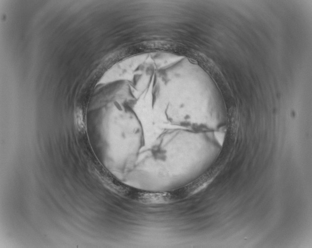 X0000085750089200704131723