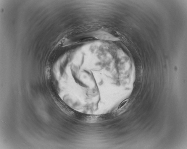 X0000085750090200704131723