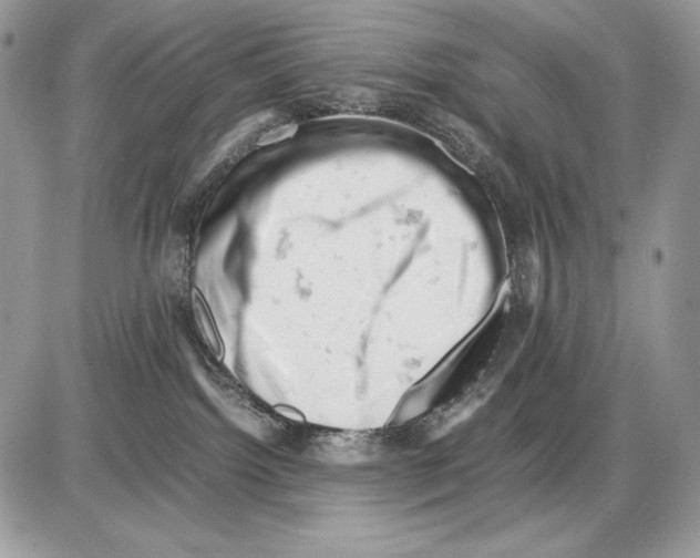 X0000085750092200704131723