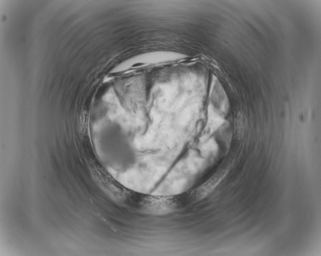 X0000085750093200704131723