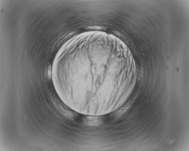 X0000085750095200704131723