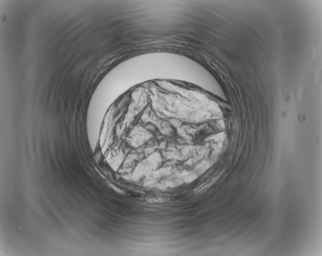 X0000085750096200704131723