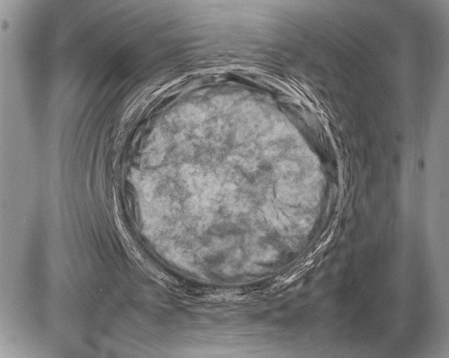 X0000085750097200704131722