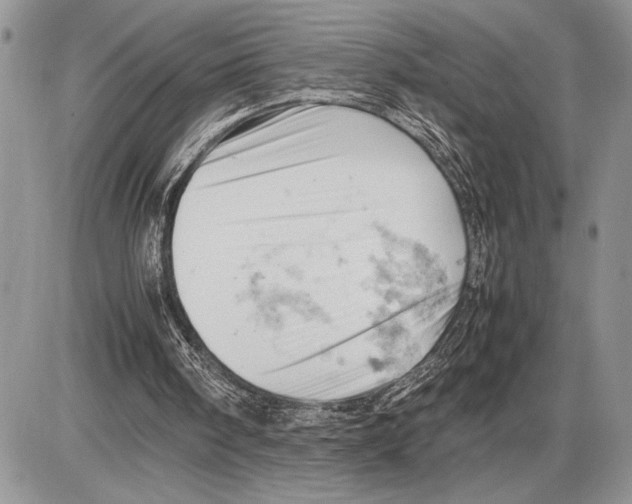 X0000085750098200704131722