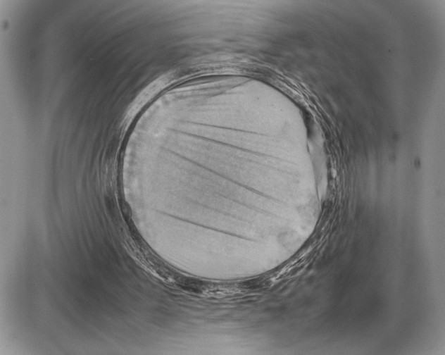 X0000085750099200704131722