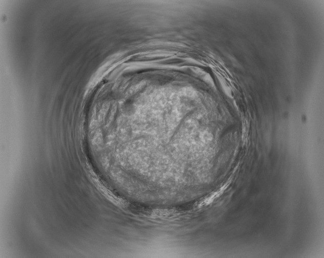 X0000085750101200704131722