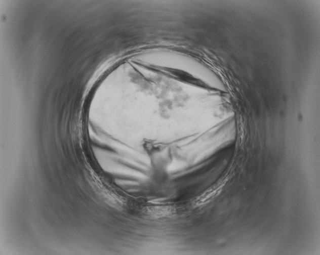 X0000085750102200704131722