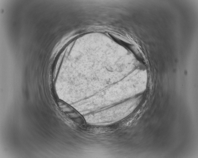 X0000085750103200704131722