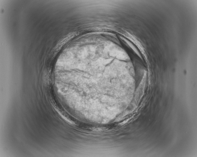 X0000085750105200704131722