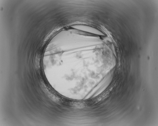 X0000085750106200704131722