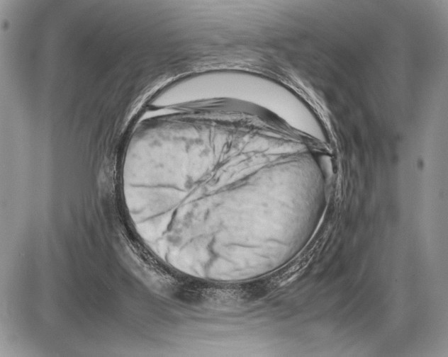 X0000085750107200704131722