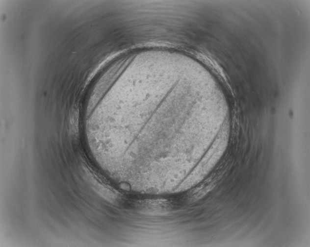 X0000085750108200704131722