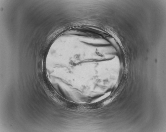 X0000085750109200704131722