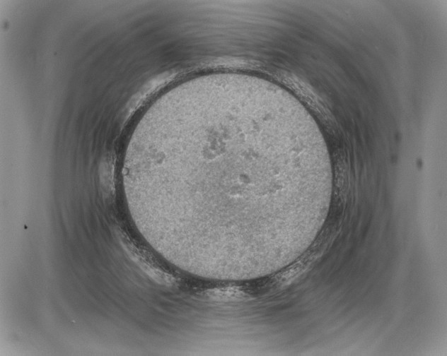 X0000085750112200704131722