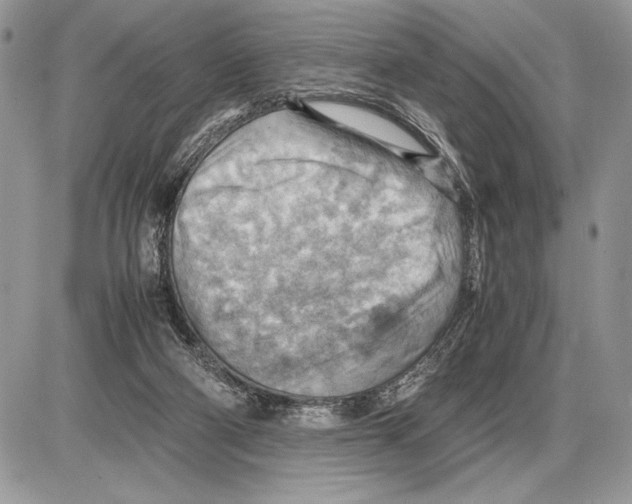 X0000085750114200704131722