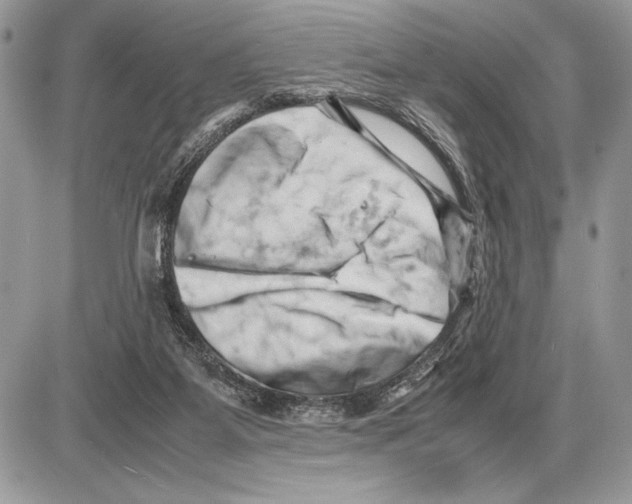 X0000085750115200704131722