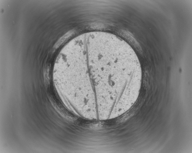 X0000085750116200704131722