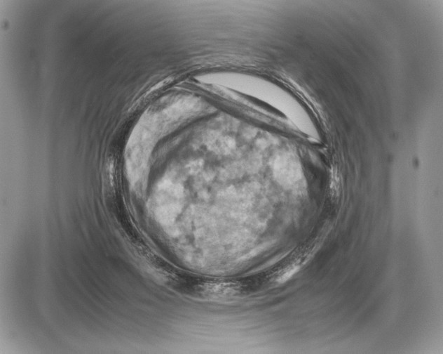 X0000085750117200704131722