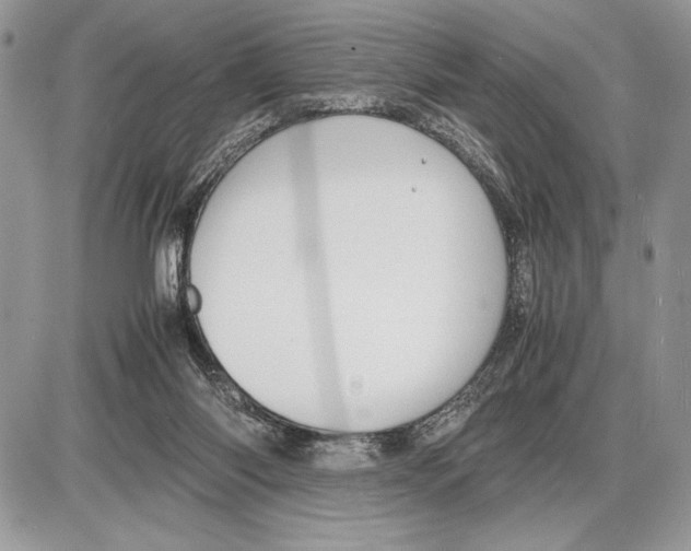 X0000085750118200704131722