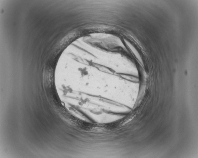 X0000085750119200704131722