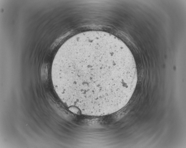 X0000085750120200704131722