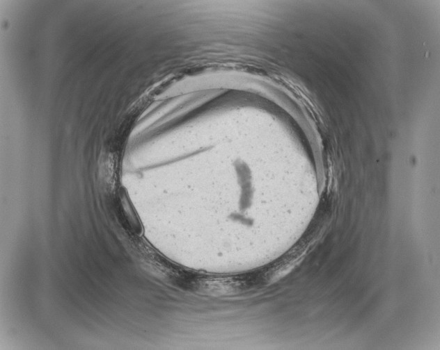 X0000085750121200704131722