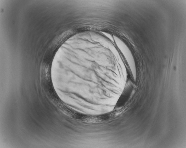 X0000085750123200704131722