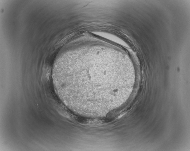 X0000085750125200704131722