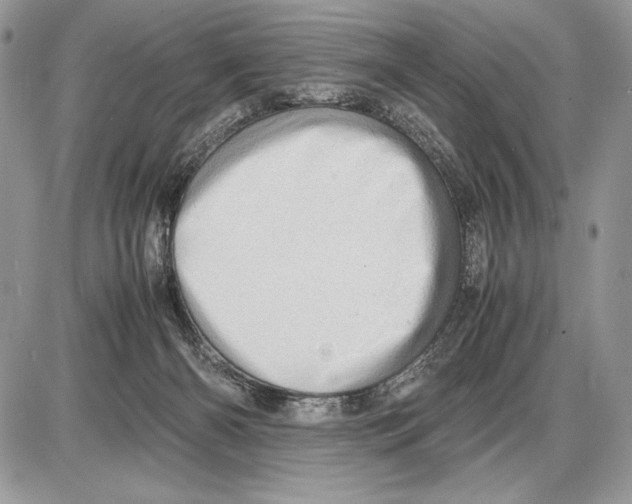 X0000085750126200704131722