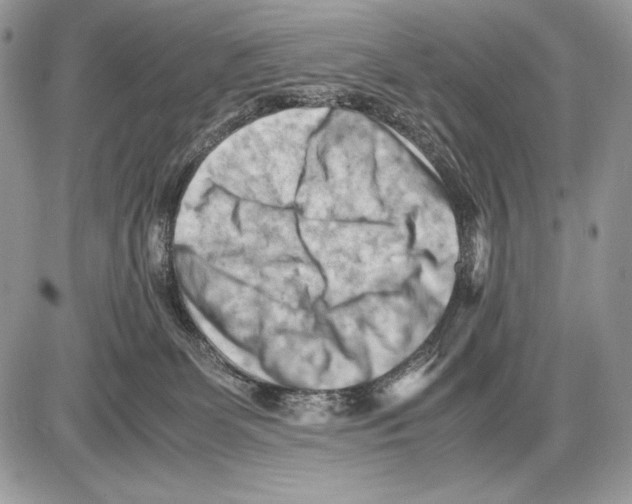 X0000085750131200704131721