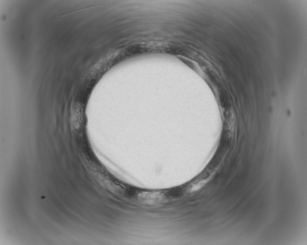 X0000085750133200704131721