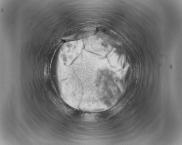 X0000085750134200704131721