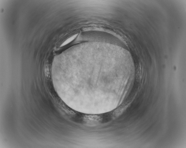 X0000085750137200704131721