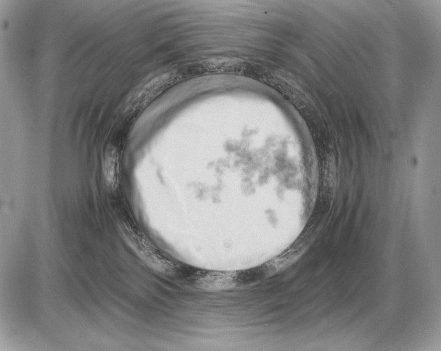 X0000085750138200704131721