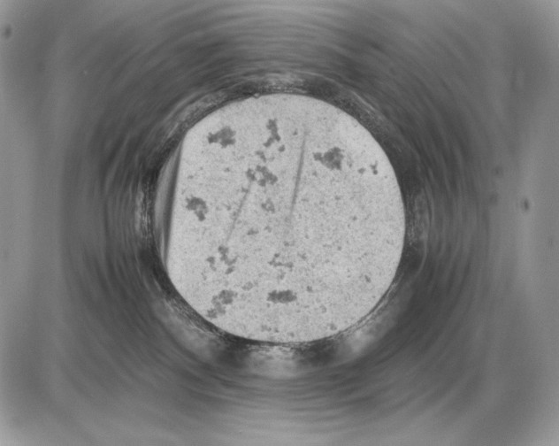 X0000085750140200704131721