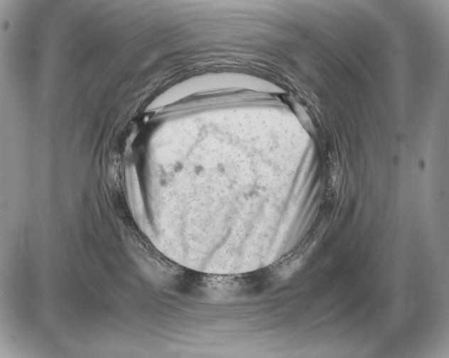 X0000085750141200704131721